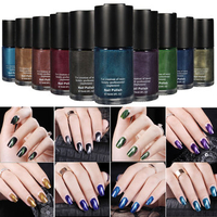 10 Colors 3D Magnetic Cat Nail Polish Gel Nails Art Manicure DIY Tool