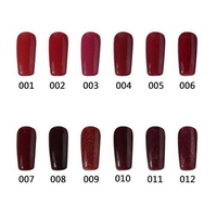 12 Colors 12ml Nano Wine Red Color System Nail Art UV Gel Polish Soak-off