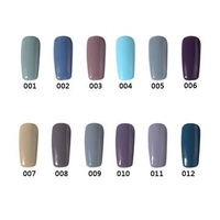 12 Colors Gray Color System Nano Nail Art UV Gel Polish Soak-off 12ml