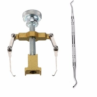 2Pcs Toenail Paronychia Correction Cleaner Nail Nipper Ingrown Manicure Pedicure Tools