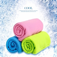 30x90cm Summer Iced Towels Outdoor Sport Magic Microfiber Cooling Towel