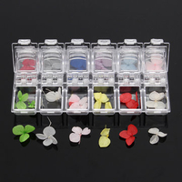 3D Beautiful Vivid Dry Dried Flower Nail Art Decoration DIY Design