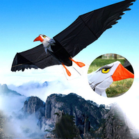 3D Eagle Kite Single Line Stunt Kite Outdoor Sports Toys Kids Beach Toys