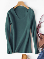 Brief Women Knitted Blouses