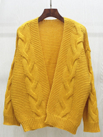 Casual Brief Women Cardigans