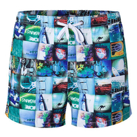Casual Hawaiian Style Loose Breathable Sports Quickly Dry Board Shorts for Men