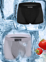 Casual Soft Ice Silk Mesh Breathable Magnetotherapy Healthcare Boxers for Men