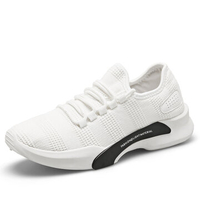 Men Mesh Fabric Lace Up Light Weight Breathable Sport Runnin