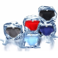 Mesh Ice Silk Breathable Briefs