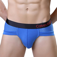 Sexy Briefs Mesh Breathable Mid Rise U Convex Underwear for Men