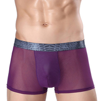 Sexy Ice Silk Mesh Modal Breathable Mid Rise U Convex Pouch Boxers for Men