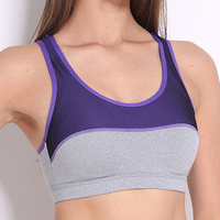 Sports Shockproof Wirelesas Breathable Quick Drying Fitness Bra