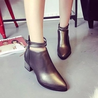 Strappy Zipper Pointed Toe Ankle Short Square Heel Boots