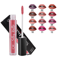 Waterproof Matte Velvet Liquid Lip Gloss 12 Colors