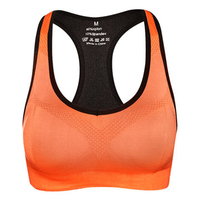 Women Sexy Shockproof Seamless Sports Bra Gather Wireless Running Fitness Bras