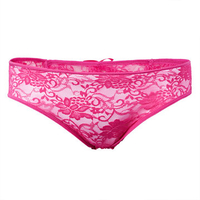 Women Sexy Transparent Lace Overlays Cheekies Open Crotch Low Waist Panties Underwear