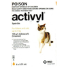 Activyl For Cat & Kitten 0-4kg (Orange) 4 Pipettes