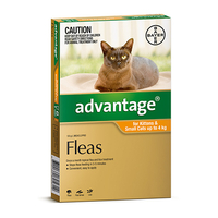 Advantage For Kittens & Small Cats Up To 4kg (Orange) 4 Pack