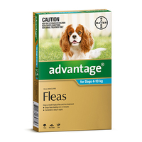 Advantage For Medium Dogs 4 To 10kg (Aqua) 12 Pack