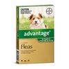 Advantage For Small Dogs Up To 4kg (Green) 12 Pack