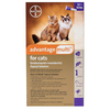 Advantage Multi (Advocate) For Cats Over 4kg (Purple) 12 Pack