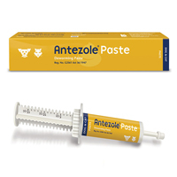 Antezole Paste For Dogs & Cats 30 Ml