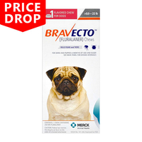 Bravecto For Small Dogs 4.5-10kg (Orange) 2 Chews
