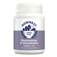 Glucosamine & Chondroitin 100 Tablets