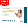 Revolution For Large Dogs 20.1 To 40kg (Green) 12 Pack