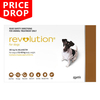 Revolution For Small Dogs 5.1 To 10kg (Brown) 12 Pack