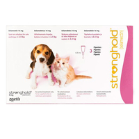 Stronghold Kittens & Puppy Upto 2.6kg 15 Mg (Rose) 6 Pipettes