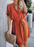 Solid V-Neck Casual Dress without Necklace - Brick Red