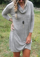 Turtleneck Solid Casual Mini Dress Without Necklace