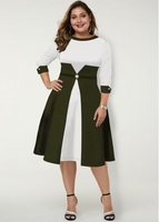 Color Block Round Neck Plus Size Dress