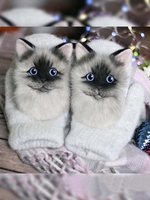 Noracora Beige Gloves Polyester Casual Winter Gloves