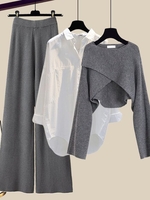 Women Casual Plain Spring/Fall Household Crew Neck Top With Pants H-Line Regular Regular Sleeve Matching Outfits