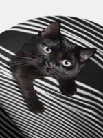 Women Plus Velvet Cat Print Stripe Pattern Soft Personality Breathable Turban Cap Beanie - Noracora