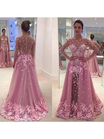 Bridelily ALine Tulle Scoop Long Sleeves FloorLength With Applique Dresses