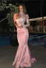 Bridelily OneShoulder Gorgeous HighNeck Mermaid Lace Evening Dress