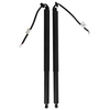 2X Rear Tailgate Power Lift Support compatible for Toyota Highlander Hybrid Bronze LE 2023