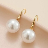 1 Pair Drop Earrings Earrings Women