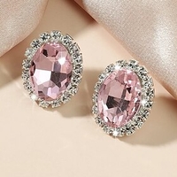 1 Pair Drop Earrings Earrings Women
