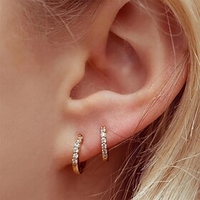 1 Pair Hoop Earrings Earrings Women
