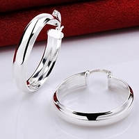 1 Pair Hoop Earrings Women
