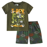 Kids Boys T-shirt Shorts Clothing Set Short Sleeve 2 Pieces Army Green Print Dinosaur Letter Animal Indoor Outdoor Cotton Regular Casual Daily 2-8 Years / Spr