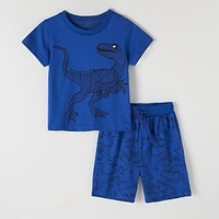 Kids Boys T-shirt Shorts Clothing Set Short Sleeve 2 Pieces Blue Print Cartoon Dinosaur Indoor Outdoor Cotton Regular Casual Daily 2-8 Years / Spring / Summer