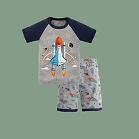 Kids Boys T-shirt Shorts Clothing Set Short Sleeve 2 Pieces Gray Print Cartoon Cotton Comfort Daily 3-10 Years / Summer