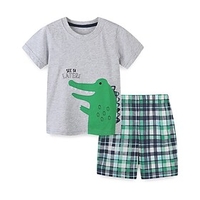Kids Boys T-shirt Shorts Clothing Set Short Sleeve 2 Pieces Gray Print Dinosaur Animal Street Comfort Daily 2-8 Years / Summer