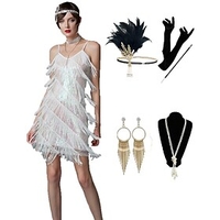 The Great Gatsby Roaring 20s 1920s Cocktail Dress Vintage Dress Flapper Dress Outfits Masquerade Prom Dress Fall Adults