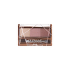 CEZANNE - Nose & Eyebrow Powder - 3g - 04 Mauve Brown